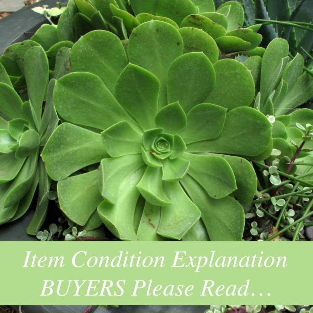 Condition of Items Listed Explanation